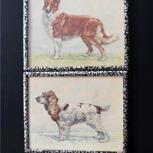 Vintage Small Dog Illustration Wall Art Pair - Collie & Cocker Spaniel